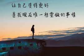 东山调查案例